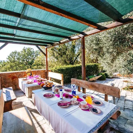 Rustic In Starigrad Croatia With Swimming Pool Vila Starigrad Paklenica